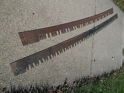 Vintage One Or Two Man Logging Crosscut Saw Blades