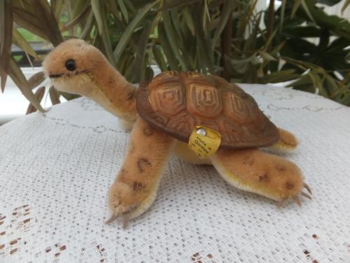 vintage steiff tortoise