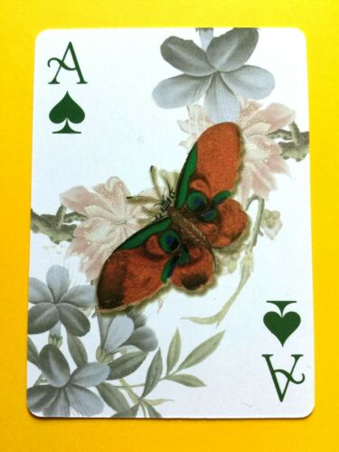 Open Winged Orange Green Butterfly ACE Of SPADES Single Swap Playing