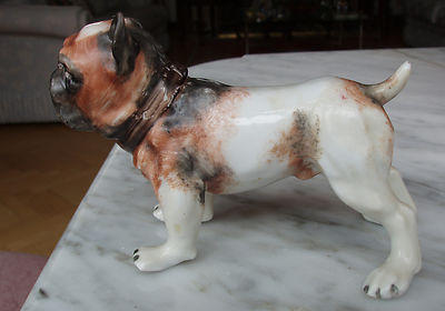 capodimonte dog