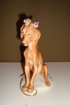 capodimonte dog